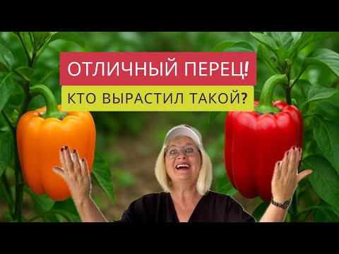 Видео: КАКОЙ ПЕРЕЦ РАСТЕТ У МЕНЯ,А КАКОЙ У СОСЕДЕЙ-ИНОСТРАНЦЕВ?🥸🫑🔥ПОРА МЕНЯТЬ МЕТОДЫ ВЫРАЩИВАНИЯ!💯%