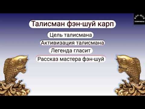 Видео: Фэн шуй талисман карп