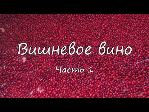 Видео: Вишневое вино. Часть 1.