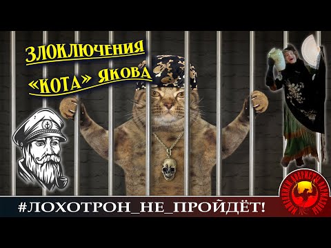 Видео: Злоключения кота Якова. Автор - Моряк Андрей
