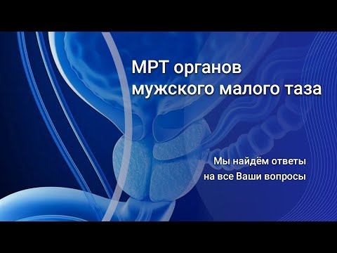 Видео: МРТ органов мужского малого таза