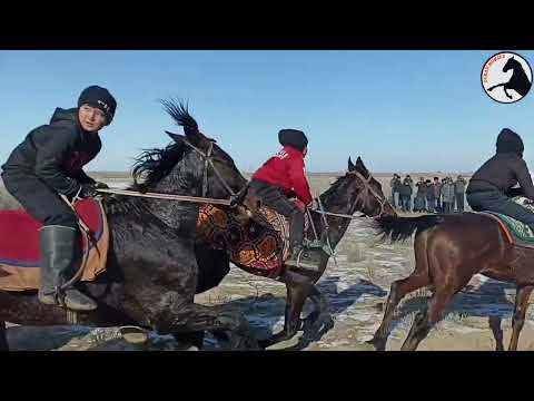 Видео: 25 01 2024 Шахаманда байге Парахат келин той