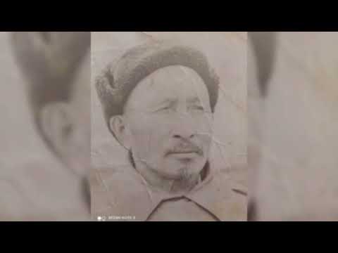 Видео: Арыкты