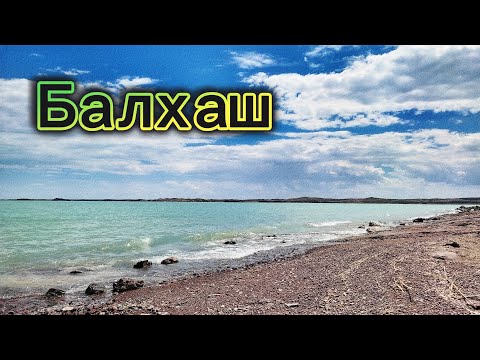 Видео: Балхаш, Мынарал | Отдых, рыбалка | 4-6 июля 2024