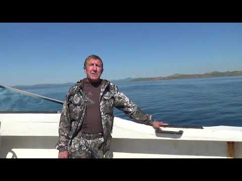 Видео: Трепанг выращивают инновационным методом