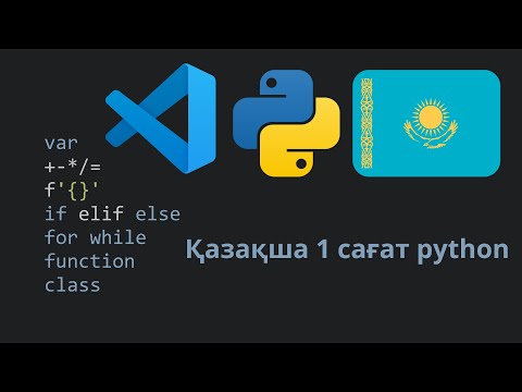 Видео: Python 1 сағат қазақша курс