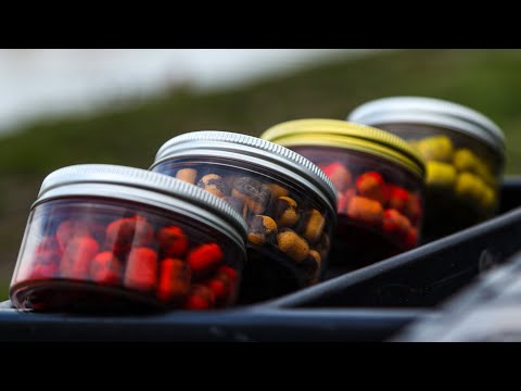 Видео: Лучшая насадка для ХОЛОДНОЙ ВОДЫ . Рыбалка на КАРПА РАННЕЙ ВЕСНОЙ 2022. Карпфишинг Жуковский