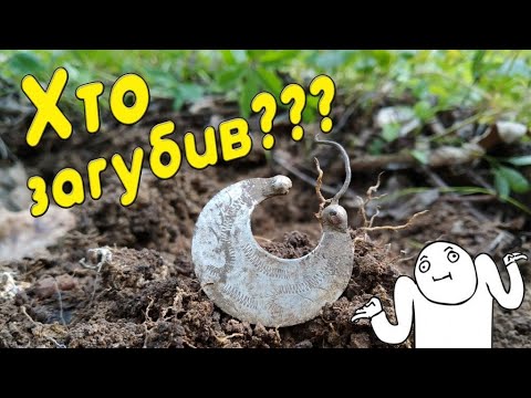 Видео: Пошук срібла в старому лісі. Коп монет з металошукачем.