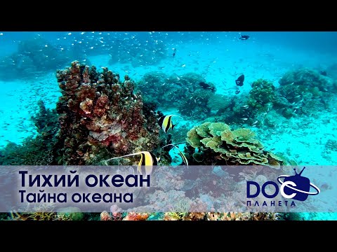 Видео: Тихий океан  - Часть 3.Тайна океана - Документальный фильм