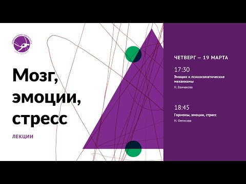 Видео: Мозг, эмоции, стресс