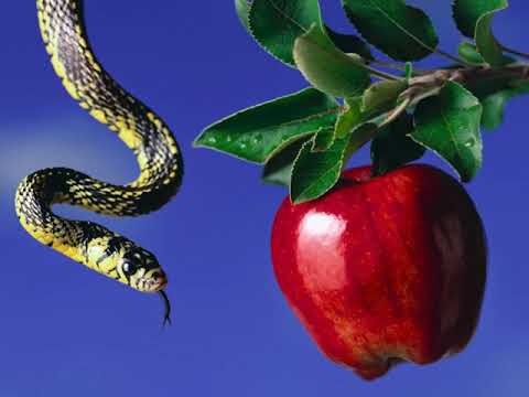 Видео: Александр Мень - "Тайны зла"