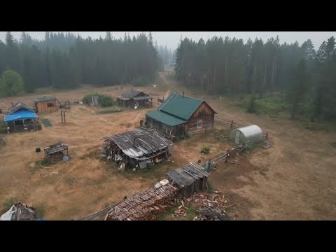 Видео: Живущие в тайге Хабаровского края!