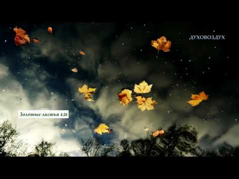 Видео: Золотые листья.
