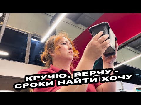 Видео: КРУЧЮ, ВЕРЧЮ - СРОКИ НАЙТИ ХОЧУ | САМАЯ НАГЛАЯ ТОРГАШКА УЗБЕКИСТАНА ОТКАЗЫВАЕТ В ВОЗВРАТЕ