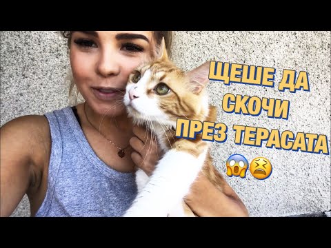 Видео: ЩЕШЕ ДА СКОЧИ ПРЕЗ ТЕРАСАТА 😱😫 🎥