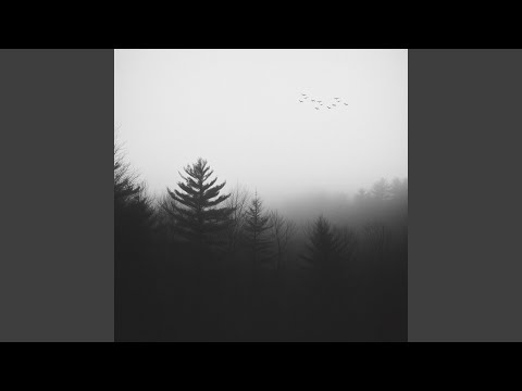 Видео: В нотах