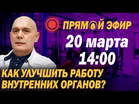Видео: Как мышцы влияют на внутренние органы? Упражнения для улучшения работы органов