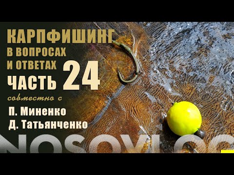 Видео: Карпфишинг в вопросах и ответах №24, Колесников, Миненко, Татьянченко