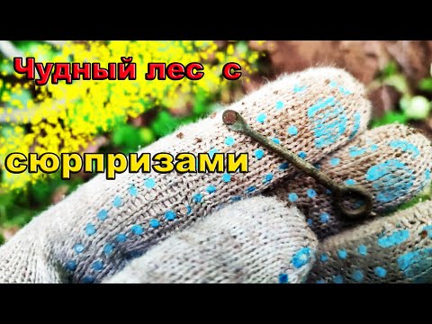 Видео: Давно таких находок не было, но Minelab EQUINOX 900 нашел их