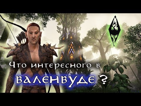 Видео: Что интересного в ВАЛЕНВУДЕ ? Босмеры-каннибалы и многое другое | TES Лор