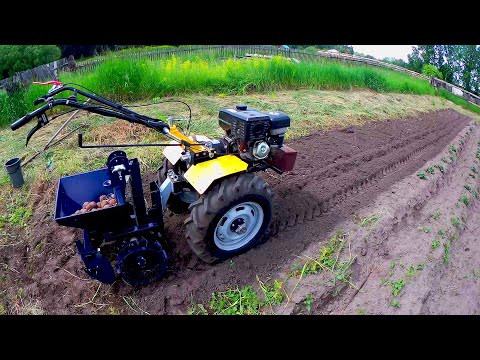Видео: Катртофелесажалка для мотоблока испытание