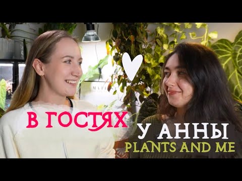 Видео: В гостях у ЦВЕТОВОДА @anya.plantsandme | обзор РАСТЕНИЙ