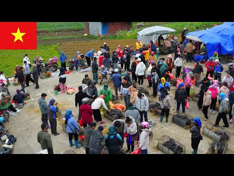 Видео: Вьетнамский сельский рынок: уникальное и знакомое культурное пространство