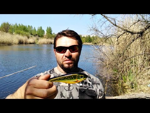 Видео: Обзор на воблер (джерк, джеркбейт) на щуку Strike Pro Buster Jerk II.