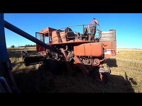 Видео: Уборочная 2019, Все ломаются уезжают и вновь приезжают  Продолжение