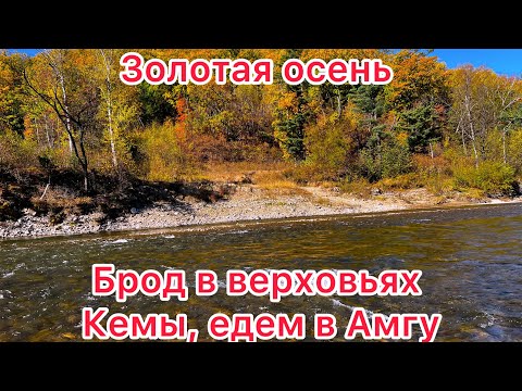 Видео: Верховья реки Кема, брод на перевале Брусничный . Амгу. Балановские источники #амгу #tlc80 #кема