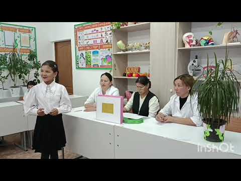 Видео: "Алтын қақпа" танымдық ойыны