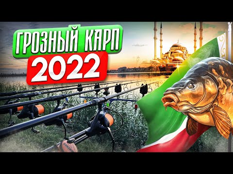 Видео: ЛОВЛЯ КАРПА ОСЕНЬЮ 2022! ГРОЗНЫЙ КАРП!