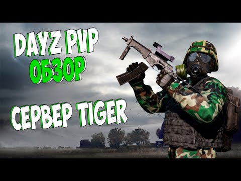 Видео: Dayz ОБЗОР PVP Сервера TIGER | ГОДНО?