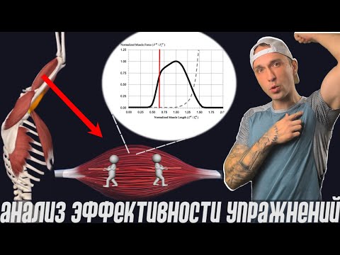 Видео: Анализ эффективности упражнений