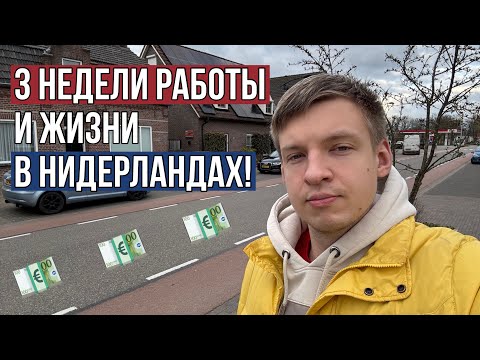 Видео: 3 НЕДЕЛИ в НИДЕРЛАНДАХ! 🏡💼 Работа, жилье, машина – ЧЕГО ЖДАТЬ?