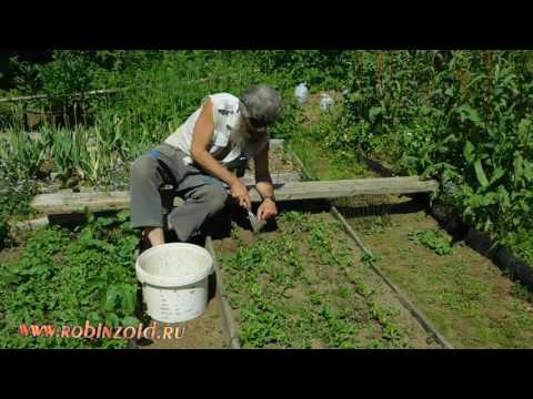 Видео: Скамейка для прополки. Прополка грядок лёжа и опрыскиватель Жук