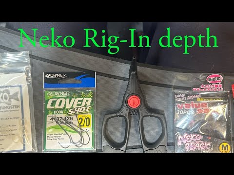 Видео: На глубине с Neko Rig от мелководья до глубоководья