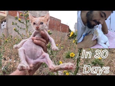 Видео: Она выглядела как странное существо! Через 30 дней она стала звездой Рози.