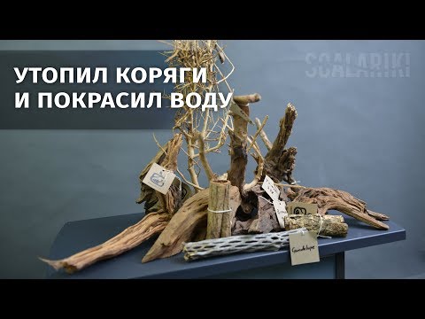 Видео: Тестирую коряги Decotop