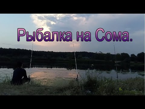 Видео: Рыбалка на Сома Донкой с берега. Беларусь.