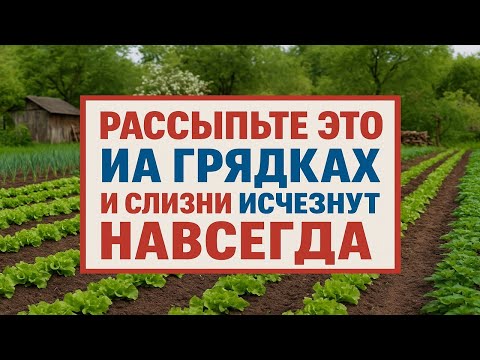 Видео: Рассыпьте это на грядках - и слизни исчезнут навсегда, урожай будет как в сказке