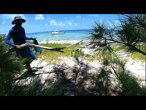 Видео: Достиг суши после нескольких дней выживания в море на небольшой 21-футовой изогнутой лодке PilotH...