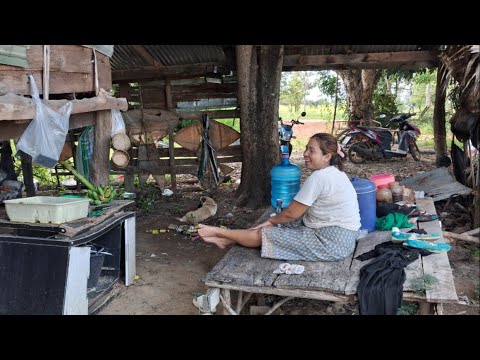 Видео: Фаранг и жизнь в Таиланде. Ферма