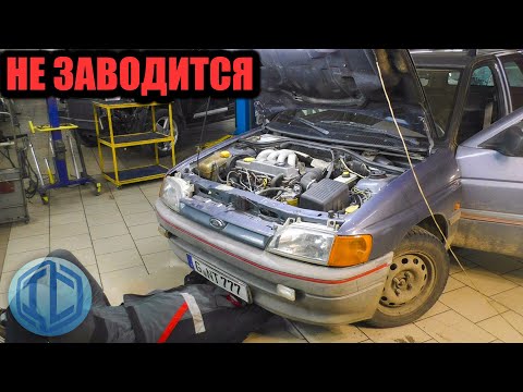 Видео: Сделайте простую проверку перед тем как менять все подряд. Ford Escort не заводится!