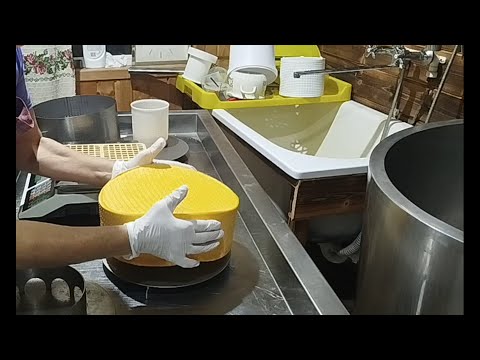 Видео: ПОМЕТИЛИ ЯГНЯТ ВАРЮ МААСДАМ