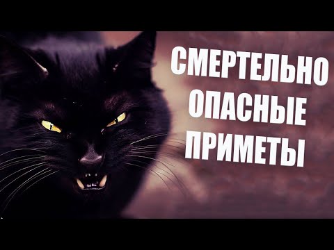 Видео: Смертельно несчастливые приметы: что приведет к несчастью?