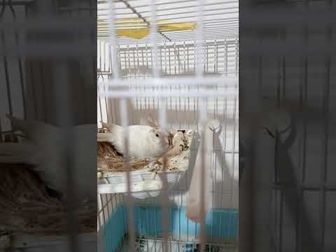 Видео: 10 ноября 2025 г.