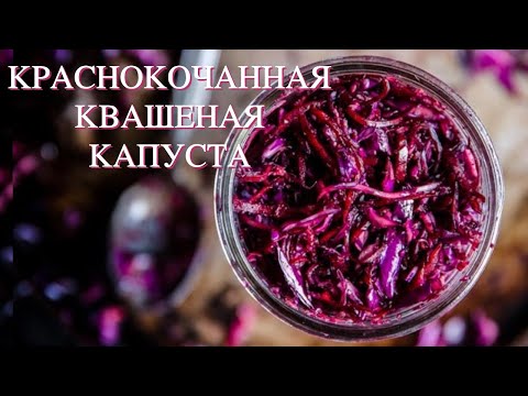 Видео: Как Ферментировать Красную (Краснокочанную)  Капусту с Имбирем | квашенная краснокочанная капуста