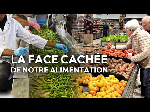 Видео: Иллюзия выбора: стандартизированные фрукты и овощи