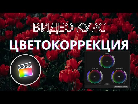 Видео: Как выполнить цветокоррекцию S-log3 в Final Cut Pro X для !!!Начинающих!!!